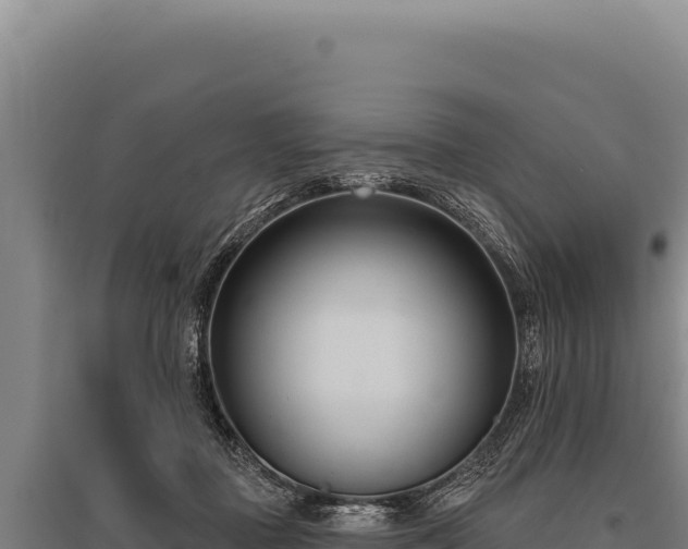 X0000095960363200801181451