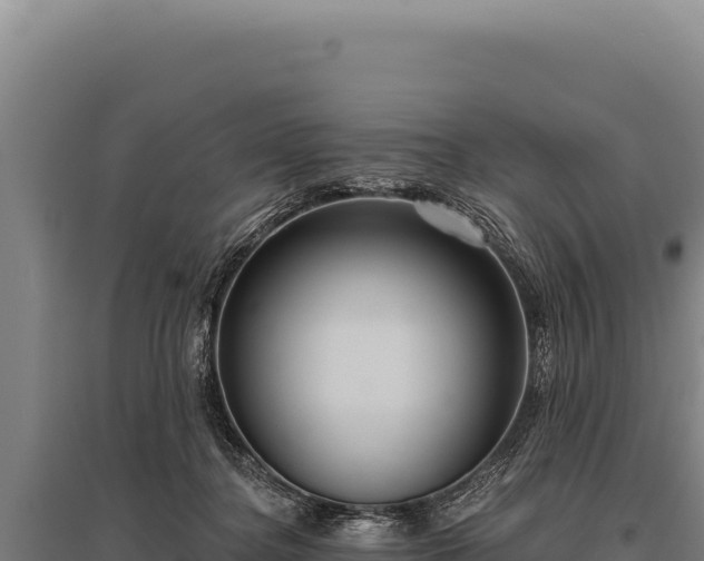 X0000095960364200801181451