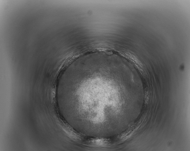 X0000095960365200801181451