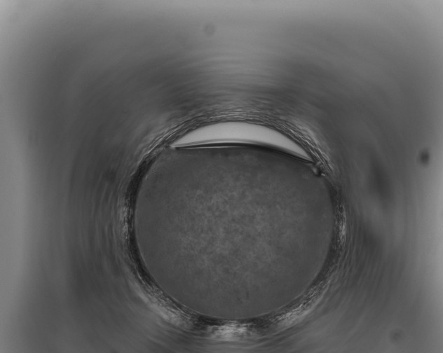 X0000095960366200801181451