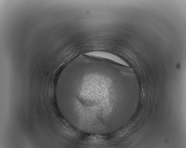 X0000095960367200801181451