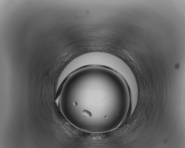 X0000095960368200801181451