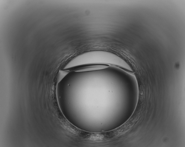 X0000095960369200801181451