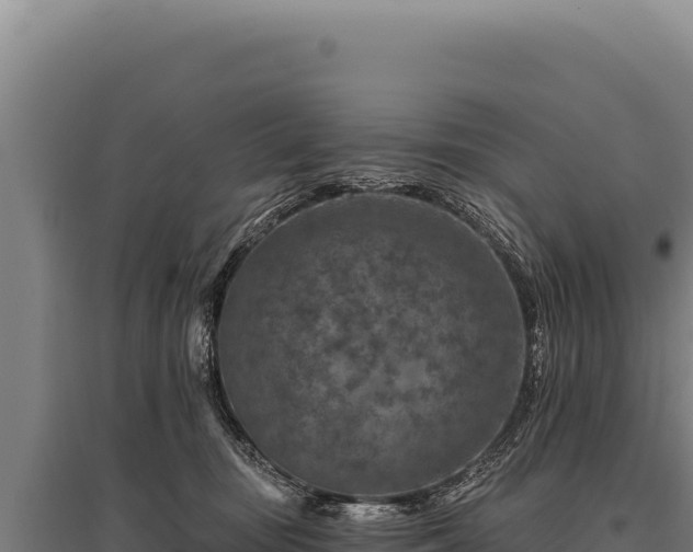 X0000095960371200801181451