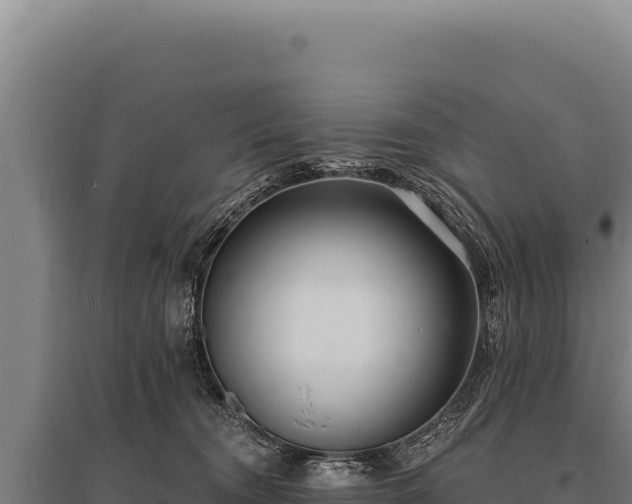 X0000095960372200801181451