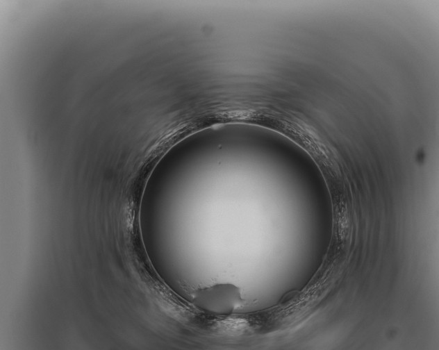 X0000095960374200801181451