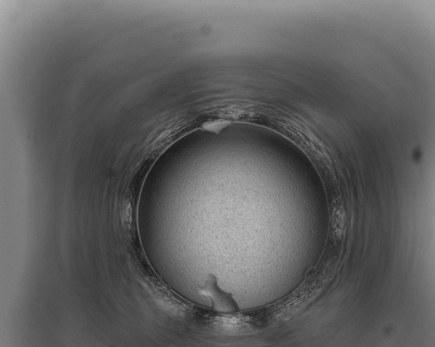 X0000095960375200801181451