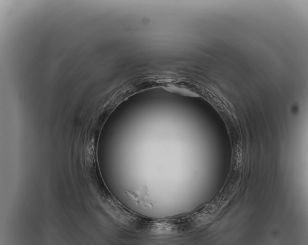 X0000095960376200801181451