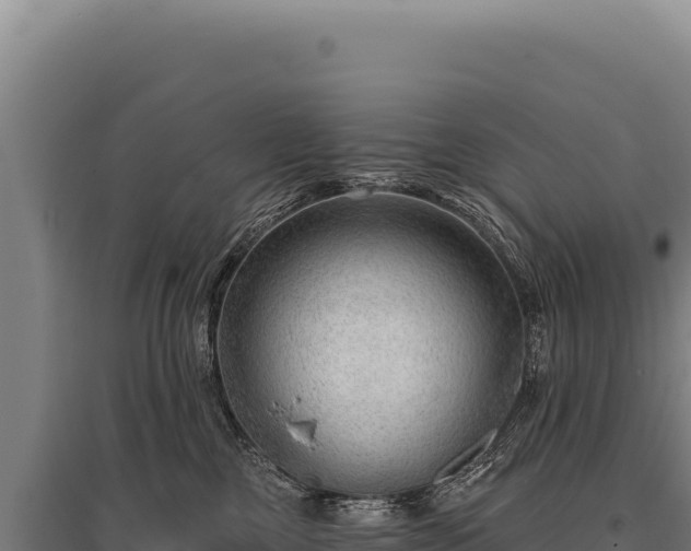 X0000095960377200801181451