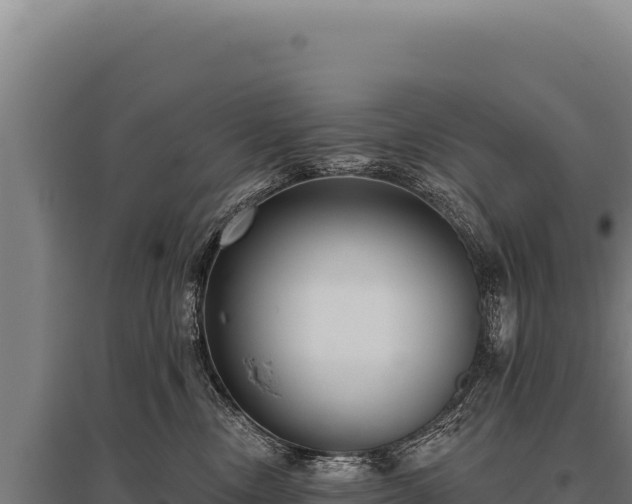 X0000095960378200801181451