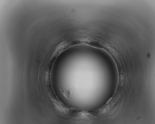 X0000095960379200801181451