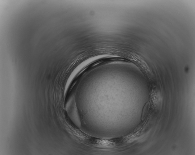 X0000095960380200801181451