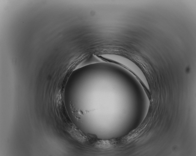 X0000095960381200801181451