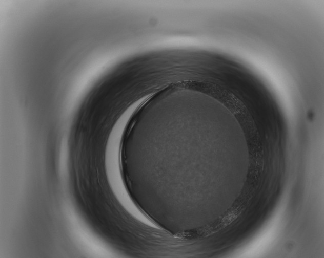 X0000095960382200801181451