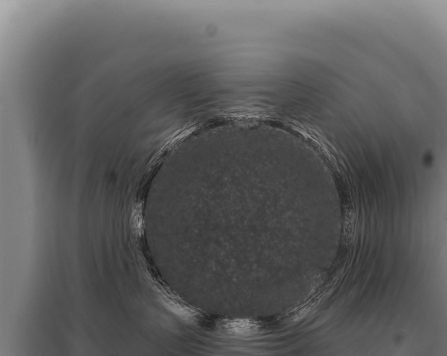 X0000095960383200801181451