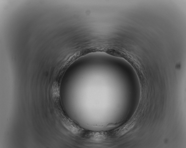 X0000095960384200801181451