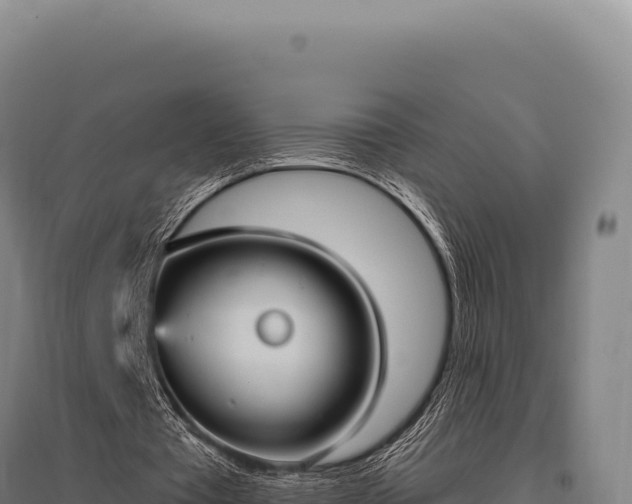 X0000095960385200801181450