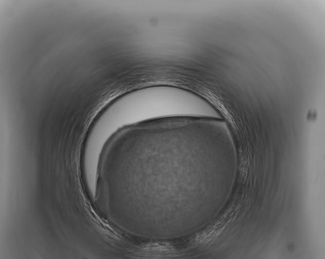 X0000095960386200801181450