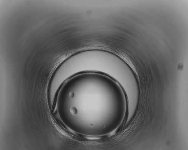 X0000095960389200801181450