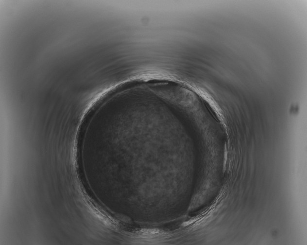 X0000095960391200801181450