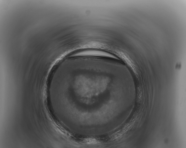 X0000095960392200801181450