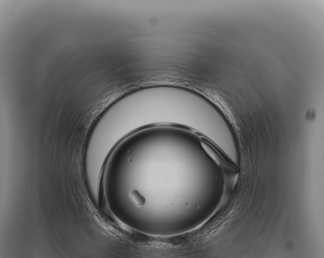 X0000095960393200801181450