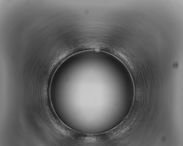 X0000095960394200801181450