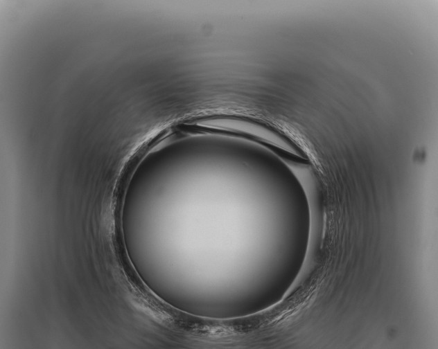 X0000095960395200801181450