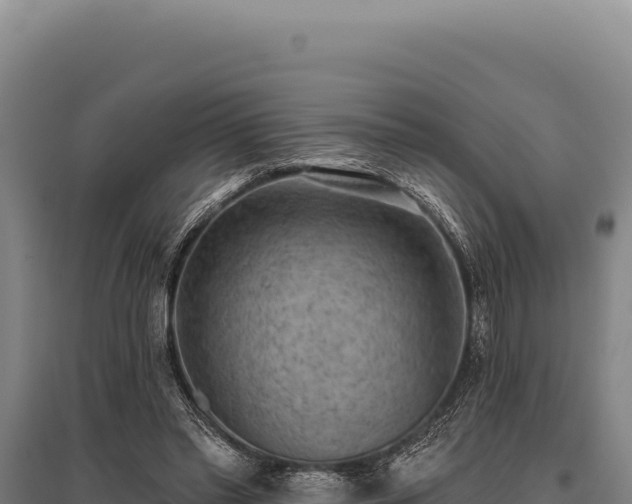 X0000095960397200801181450