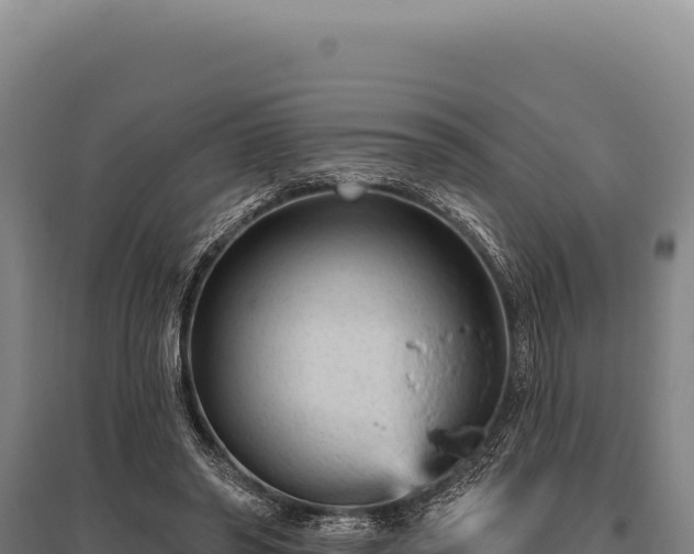 X0000095960398200801181450