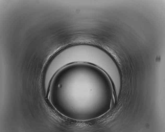 X0000095960399200801181450