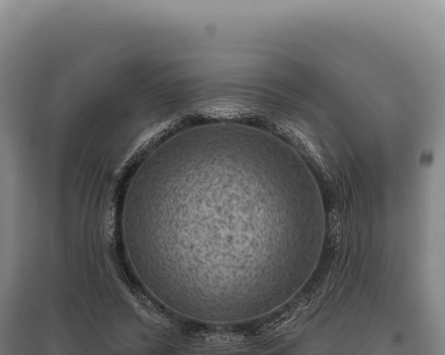 X0000095960400200801181450