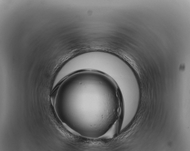 X0000095960401200801181450