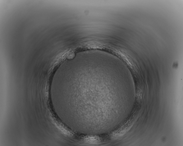 X0000095960402200801181450