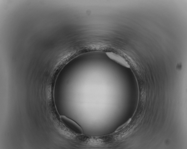 X0000095960403200801181450