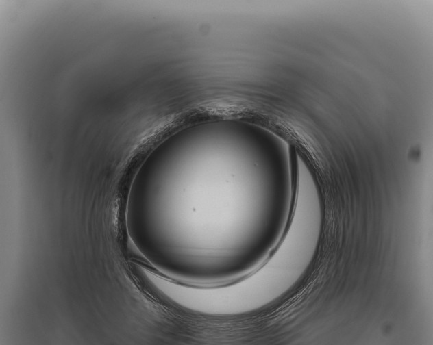 X0000095960404200801181450