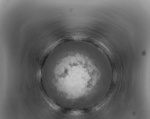 X0000095960405200801181450