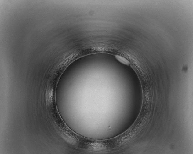 X0000095960406200801181450