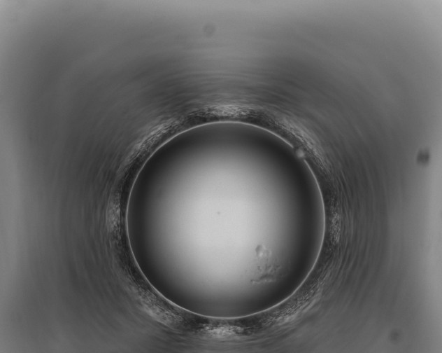 X0000095960407200801181450