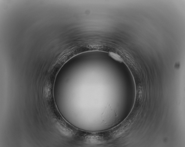 X0000095960408200801181450