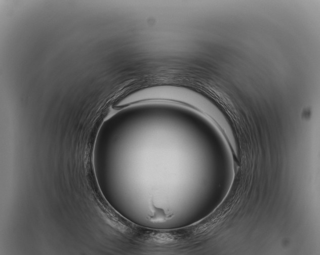 X0000095960409200801181450