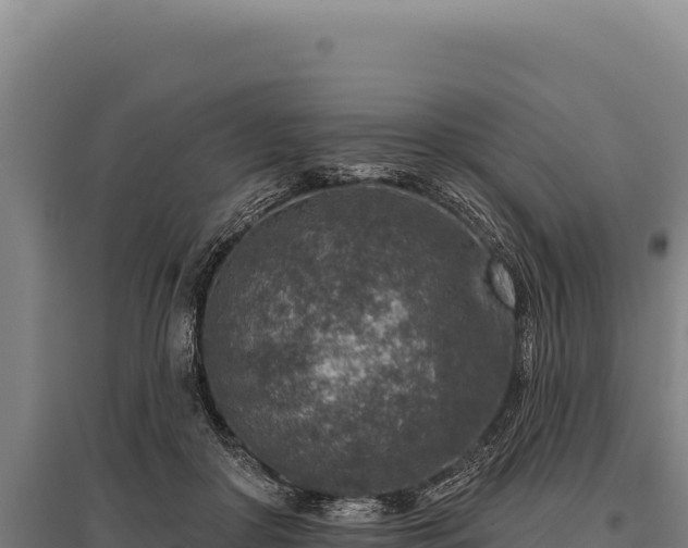 X0000095960410200801181450