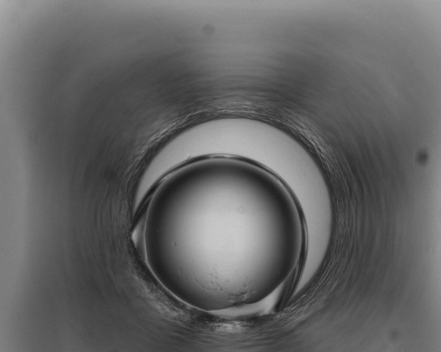 X0000095960411200801181450