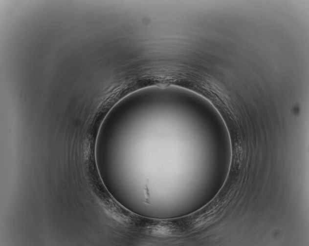 X0000095960412200801181450