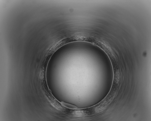 X0000095960413200801181450