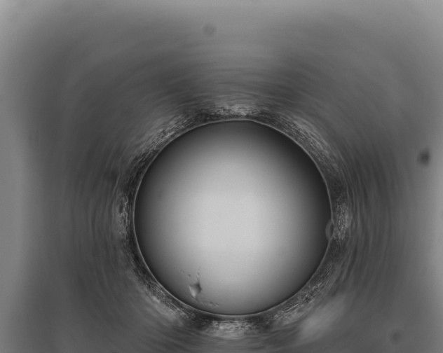 X0000095960414200801181450