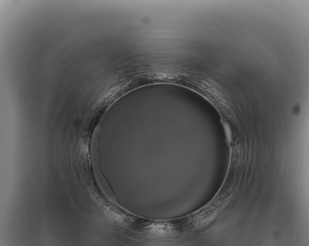 X0000095960415200801181450