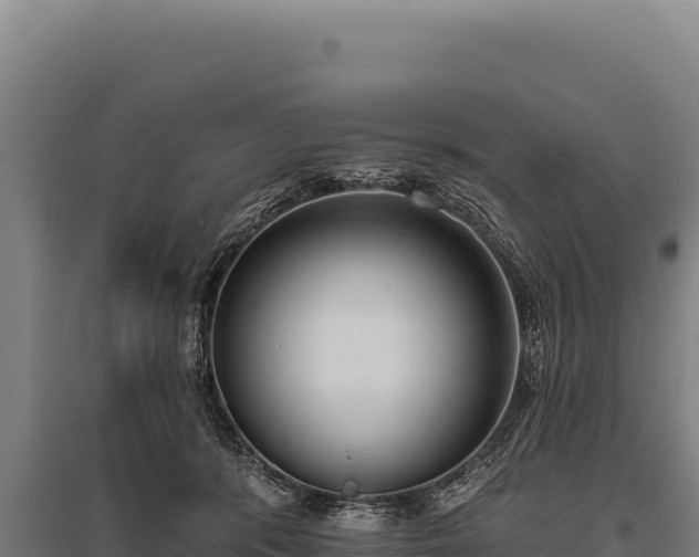 X0000095960416200801181450