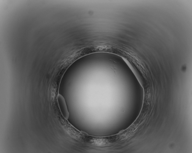 X0000095960417200801181450