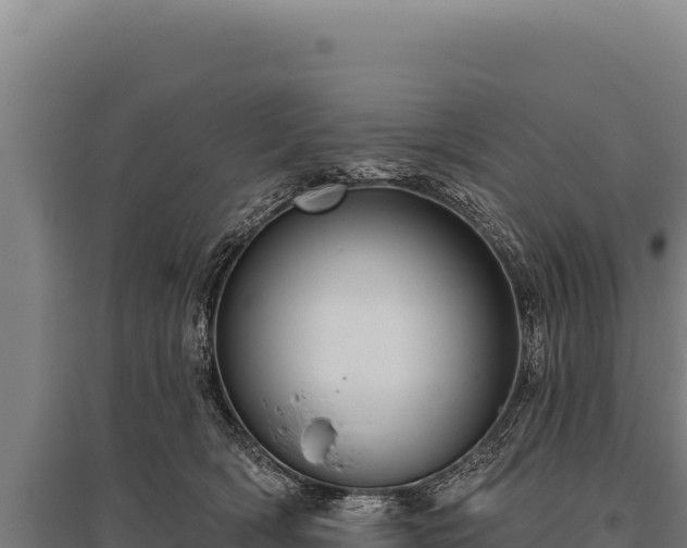 X0000095960418200801181450